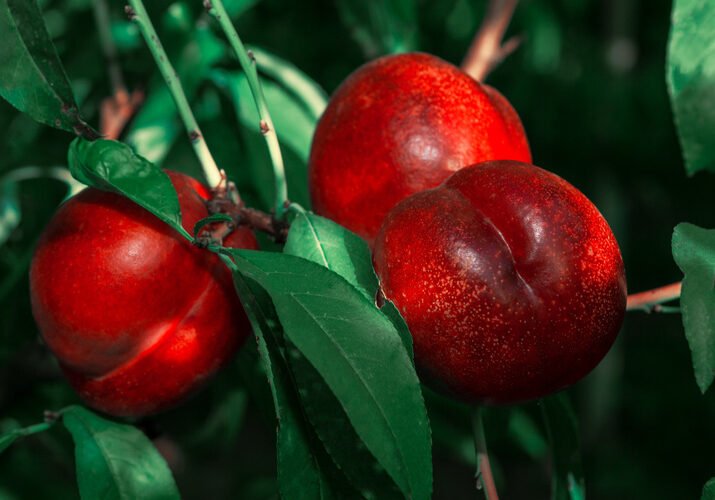 5490613f63649fe89ea8e695483bf80f60d1b0f5167da429023ccd068aa8effc