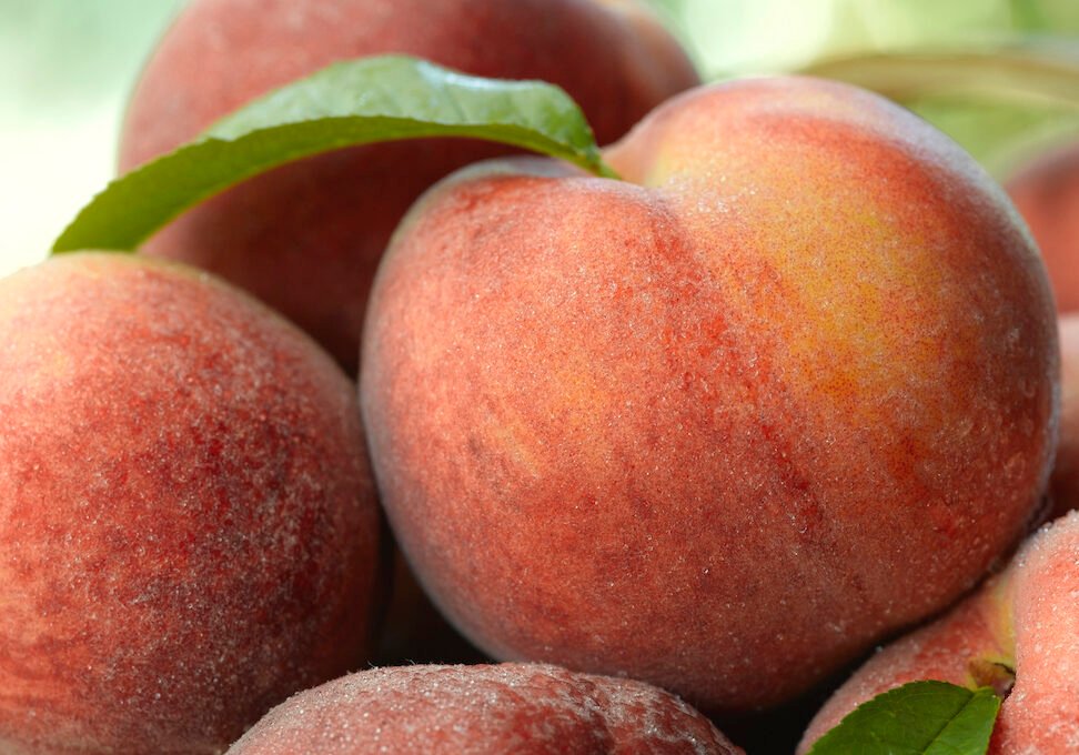 Peaches