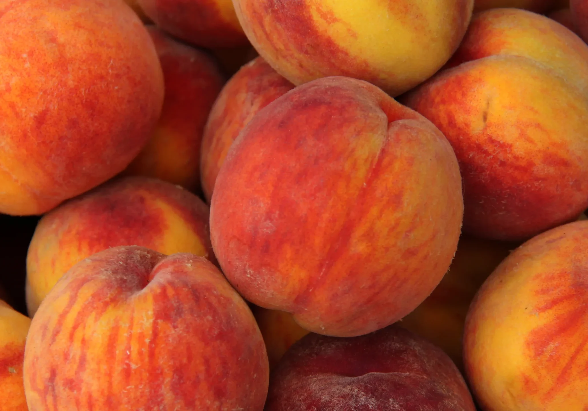 GettyImages-614938268