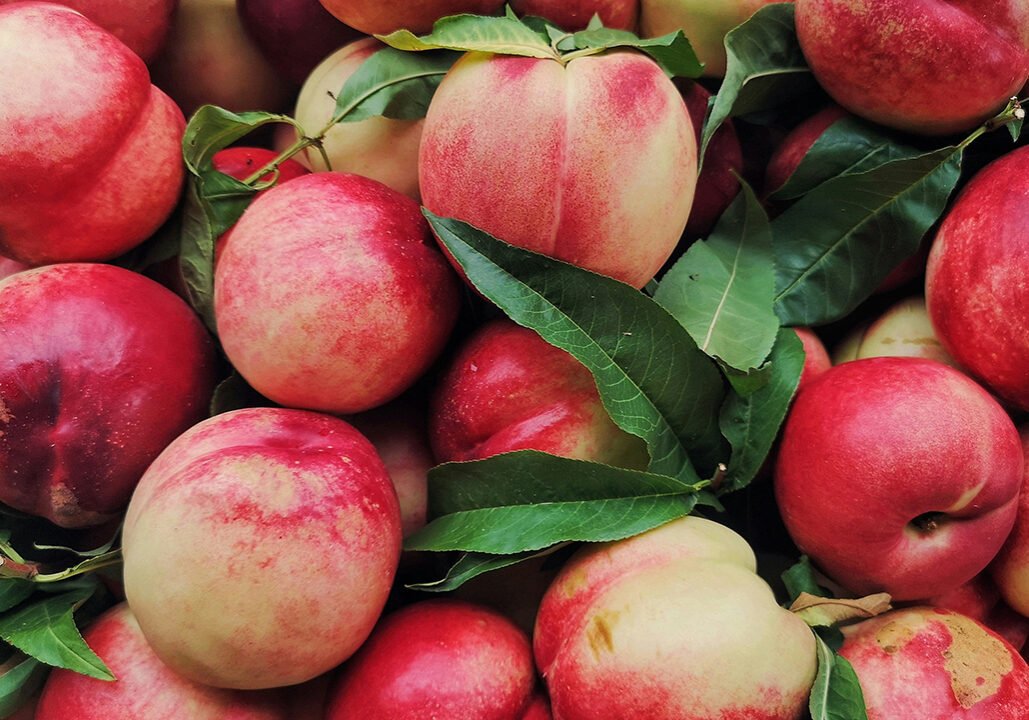 dc62ede303ccd019e44ff04de09355bfe59152cb