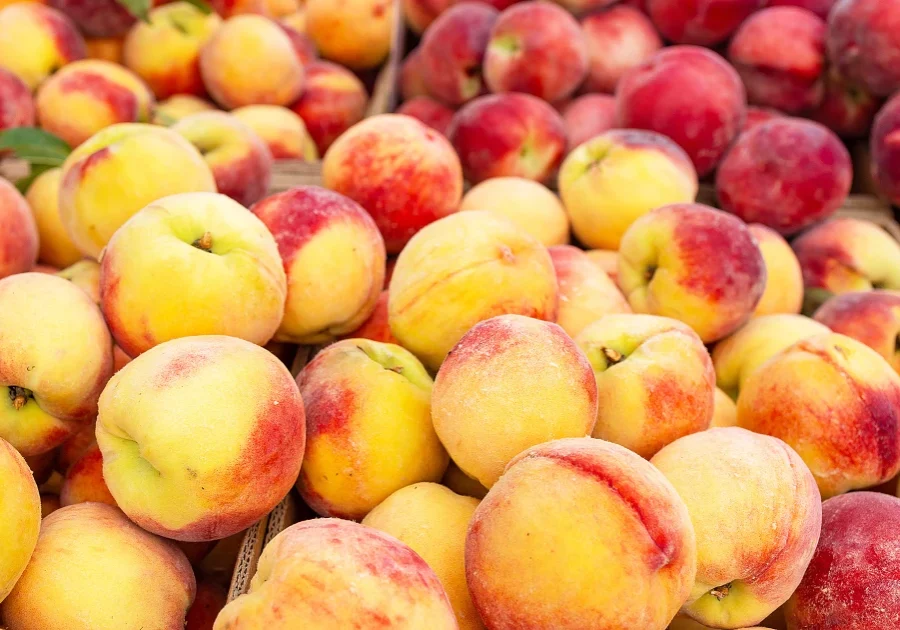 peach-benefits-zz-240906-bc11e0